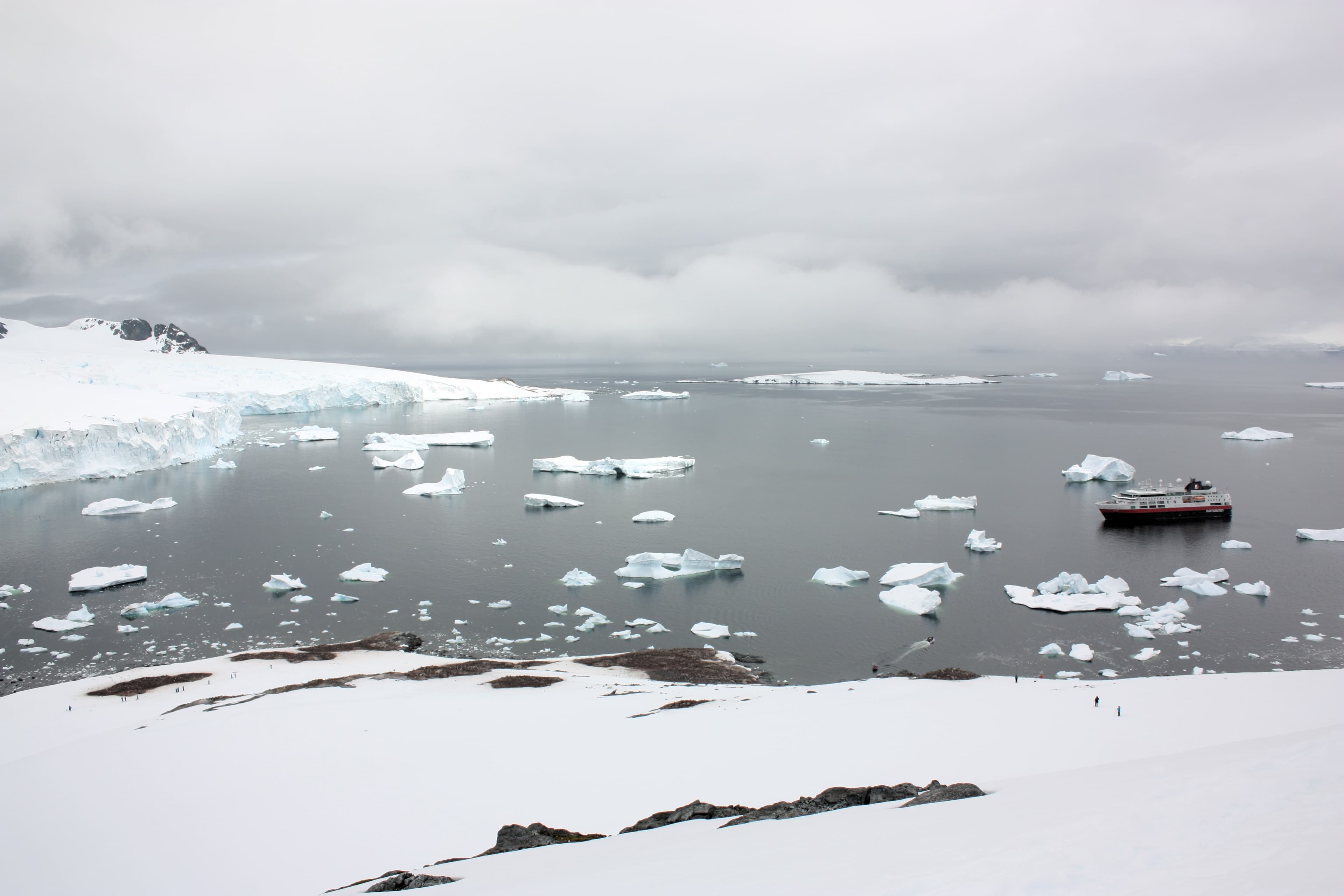 Cuverville Island, Antarctica